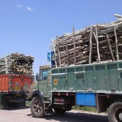 کشف بیش از ۵۰ تن چوب قاچاق در رودسر