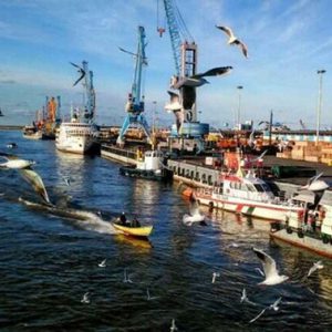 صادرات ۷.۵ میلیون دلاری ماهیان گرم آبی پرورشی گیلان