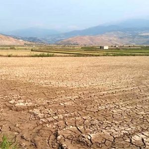 محقق کانادایی: خشکسالی در ایران ماهیتی انسان‌ ساخت دارد/ نمکی شدن خاک؛ خطرناک تر از کم آبی