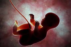 سند ملی کودکان اصل «محرمانگی» در رحم جایگزین و اهدای جنین را حفظ می کند؟