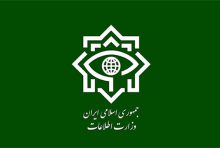 کوتاه شدن دست مافیای برنج ایرانی/ قیمت ها نزولی شد