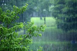 کاهش ۳۰ درصدی بارش‌ها / ۶۲ درصد گیلان دچار خشکسالی است