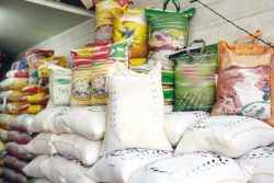 نوروزی: سود حاصل از دلالی بازار برنج به جیب شالی کار نمی‌رود
