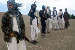 یک مقام اتحادیه اروپا: طالبان کنترل ۶۵ درصد از خاک افغانستان را در دست دارد