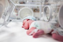 کاهش ۸.۲ درصدی ولادت در گیلان در مقایسه با سال گذشته