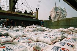 هشدار نسبت به وضعیت واردات برنج / ممنوعیت فصلی را به تاخیر بیندازید