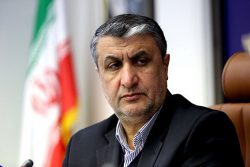 اسلامی: انحرافی در برنامه هسته‌ای نداریم / روابط ایران و آژانس تسهیل شود