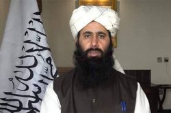 سخنگوی طالبان: القاعده در افغانستان نیست