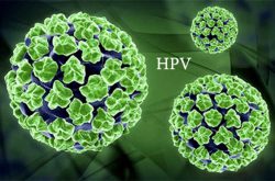 خطر ابتلا به ویروس HPV و راهکار‌های کنترل آن