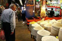 کوتاه شدن دست مافیای برنج ایرانی/ قیمت ها نزولی شد