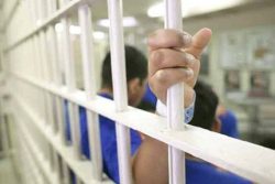 ۳۲۰۲ زندانی جرایم غیرعمد در زندان هستند