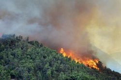 مهار آتش سوزی در جنگل های گیلان / ۳ شهرستان بیشترین حریق را داشت