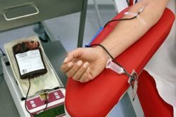 گیلانی ها امسال ۱۳ درصد بیشتر خون اهدا کردند