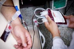 ۲۰ درصد اهداکنندگان خون گیلان جوان هستند/ اهدای خون ۱۴ روز بعد از تزریق واکسن کرونا