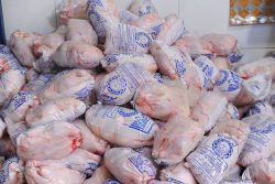 سردی بازار مرغ گرم گیلان در سایه توزیع مرغ منجمد