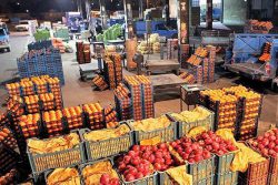 برخورد با هرگونه افزایش قیمت میوه و تره بار در گیلان